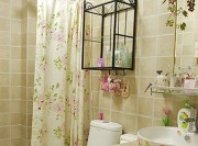 舒適的田園風(fēng)格50平米一居室衛(wèi)生間裝修效果圖 舒適的田園風(fēng)格50平米一居室衛(wèi)生間裝修效果圖