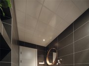 溫潤素凈的北歐風格復式衛(wèi)生間裝修效果圖 溫潤素凈的北歐風格復式衛(wèi)生間裝修效果圖