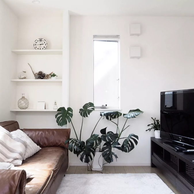 新房裝修的另一種風(fēng)格：清新雅致、溫暖舒適